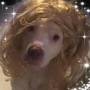 Meet your Posher, Johnathan